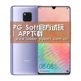 华为HUAWEI NOTE 8