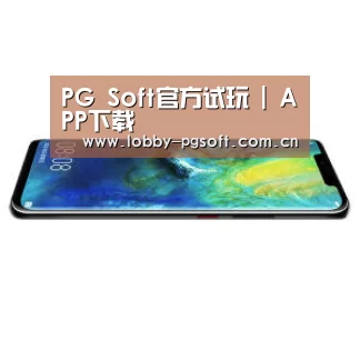 华为无线快充手机