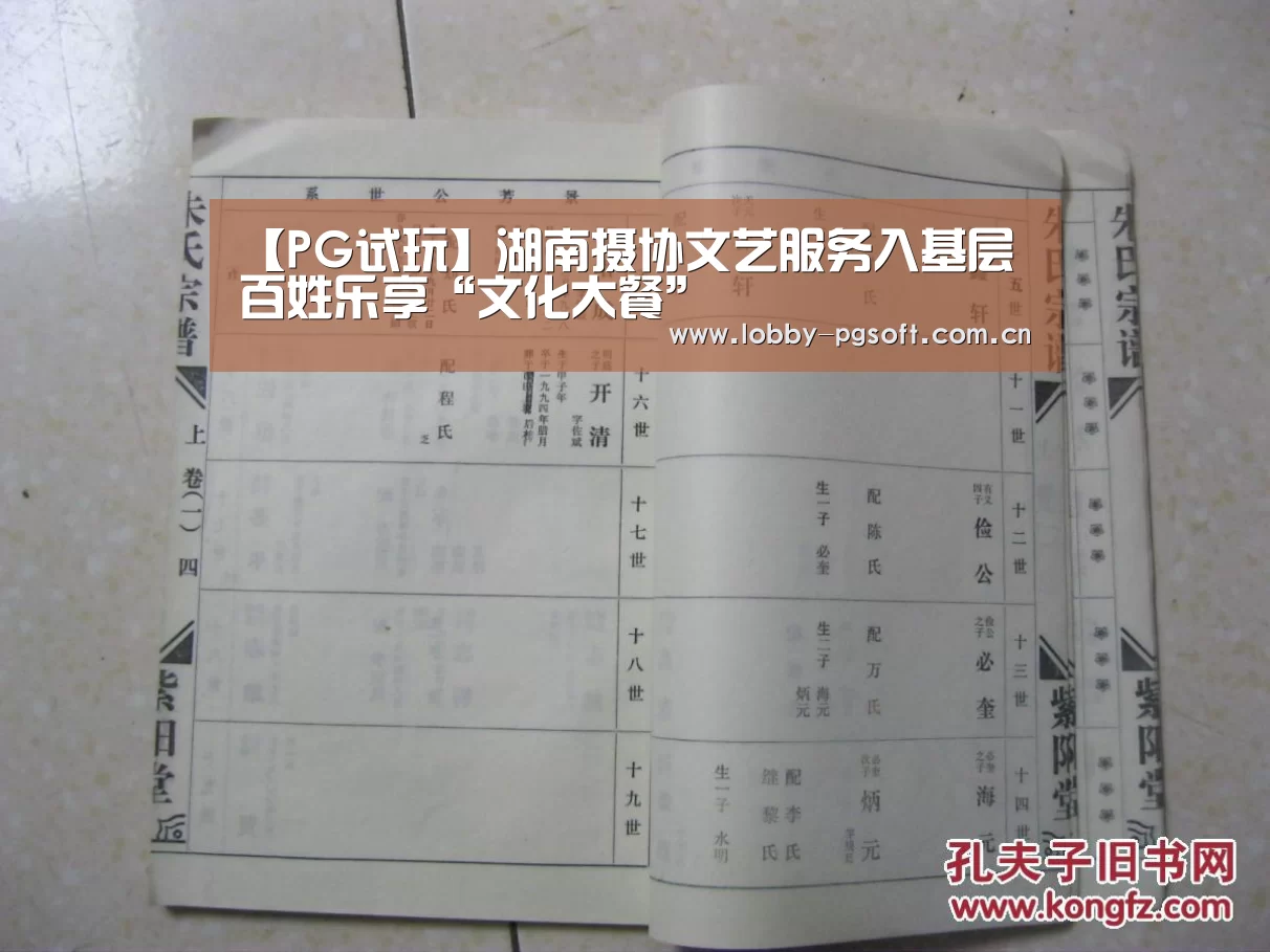【PG试玩】湖南摄协文艺服务入基层 百姓乐享“文化大餐”(图3) PG试玩