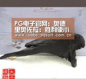 PG电子官网:奥德里奥佐拉:胜利使小组赛走上正轨;球员追随索拉里(图1) PG电子官网