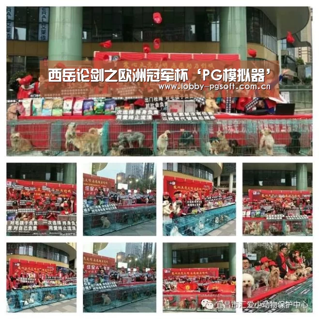 西岳论剑之欧洲冠军杯‘PG模拟器’(图3) PG电子官网